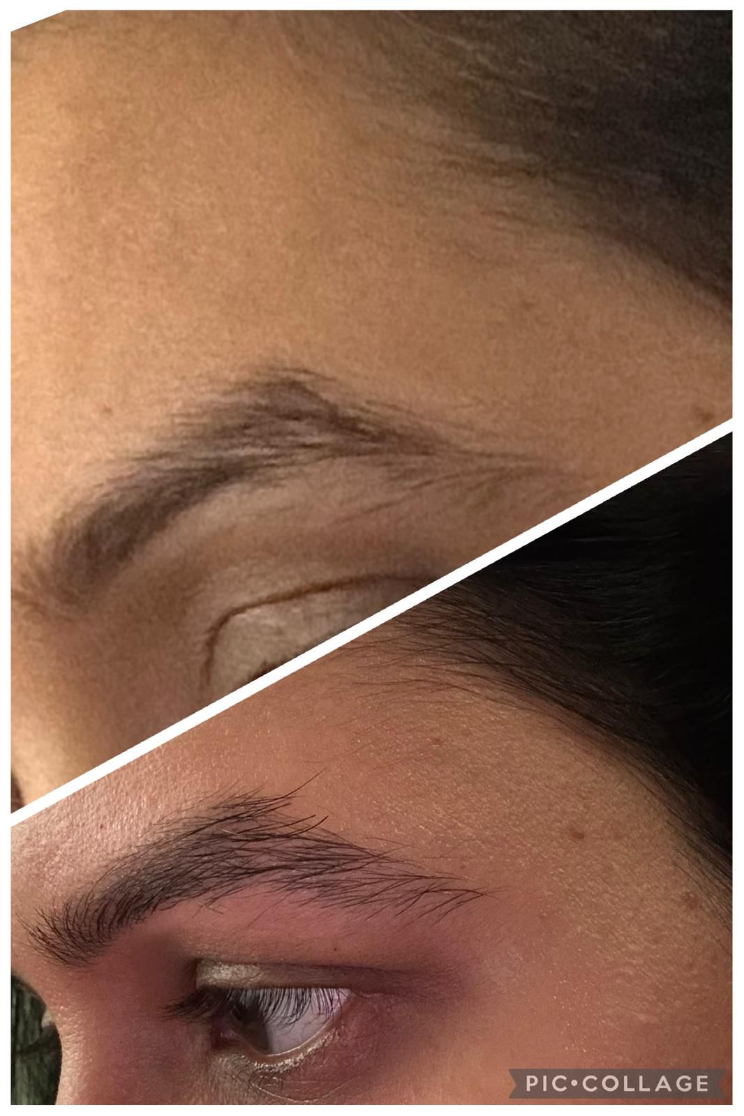 Netra Eyebrow and Lash Oil